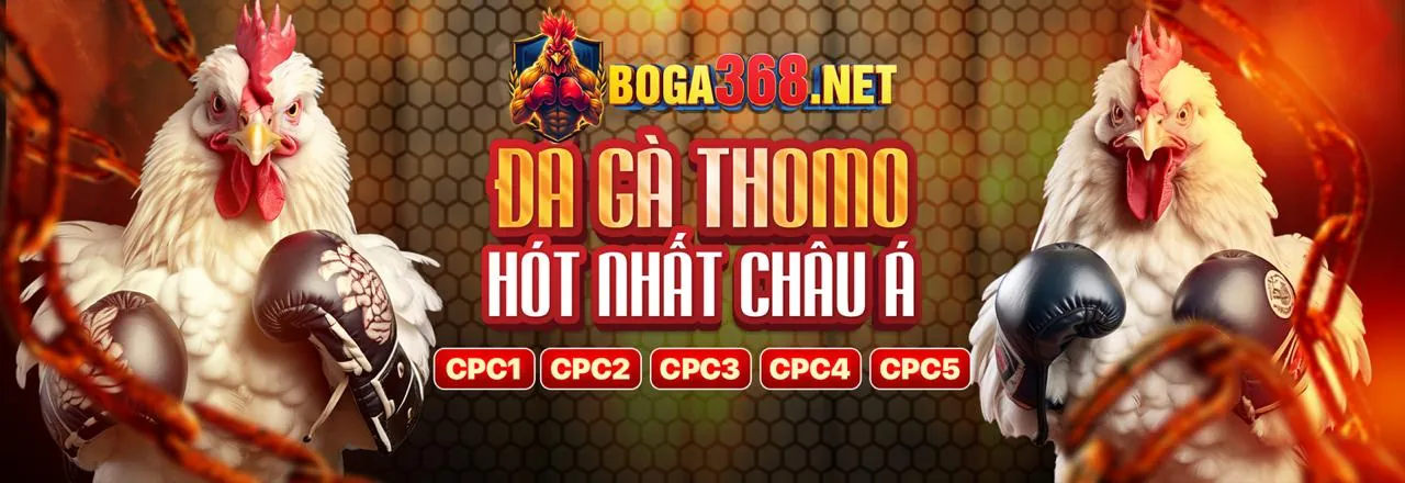 Giao diện cá cược bóng đá tại bay365 trang chủ chính thức